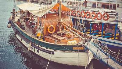 热门综艺抢先看